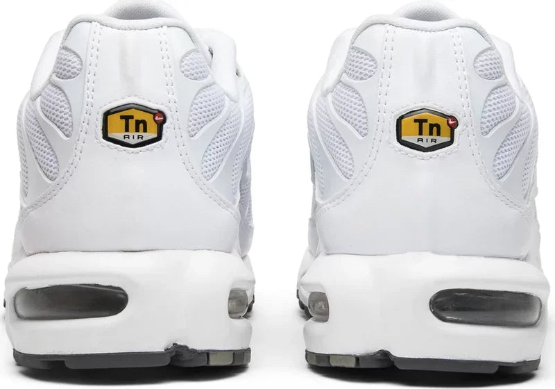 Nike Air Max Plus TN - Casper - Hectic Kixs