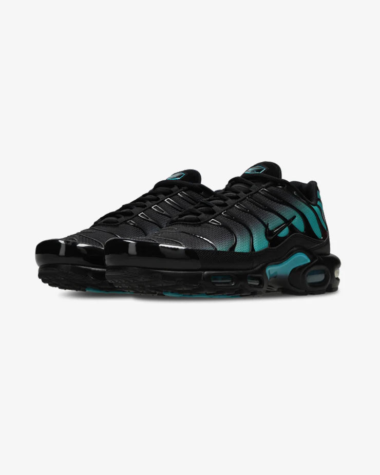 Nike Air Max Plus TN - Black Dusty Cactus