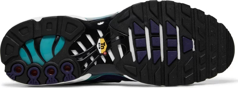 Nike Air Max Plus TN - Grape Ice - Hectic Kixs