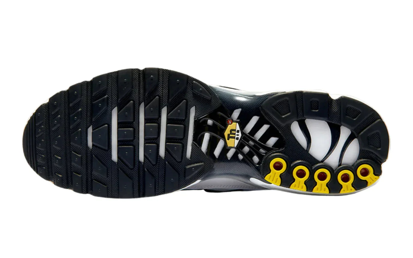 Nike Air Max Plus TN - Killer Whale - Hectic Kixs