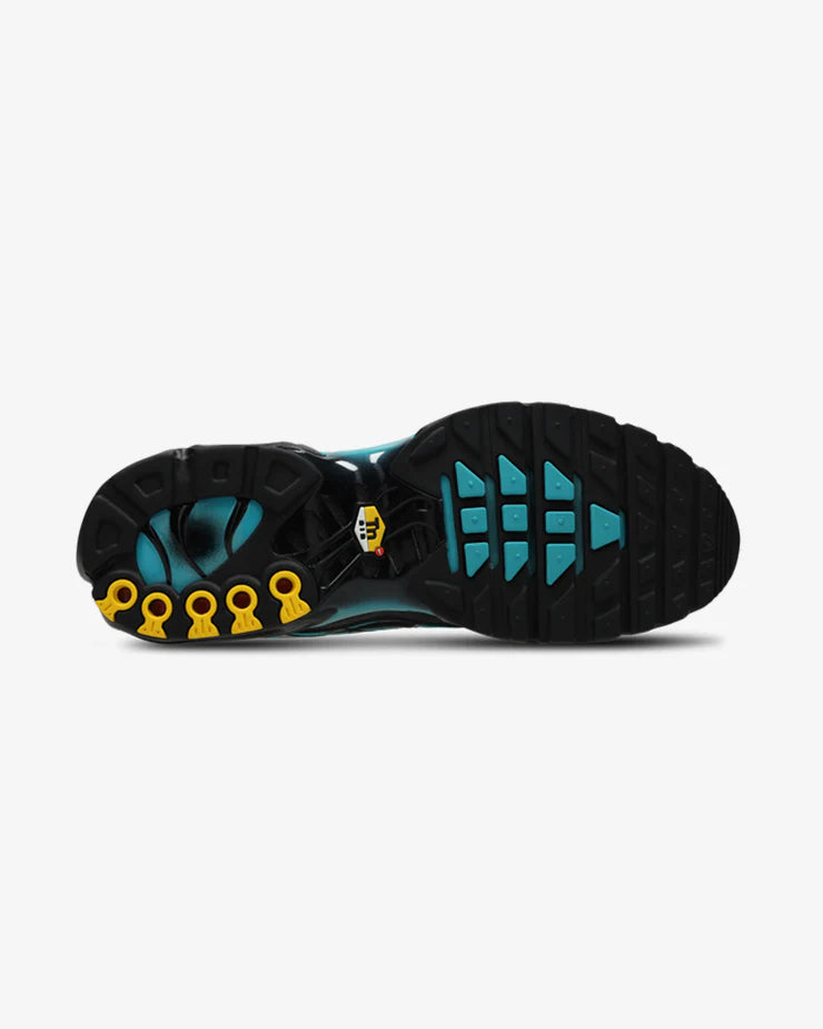 Nike Air Max Plus TN - Black Dusty Cactus