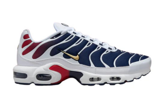 Nike Air Max Plus x Paris Saint-Germain (PSG)