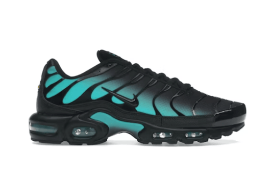 Nike Air Max Plus TN - Black Dusty Cactus